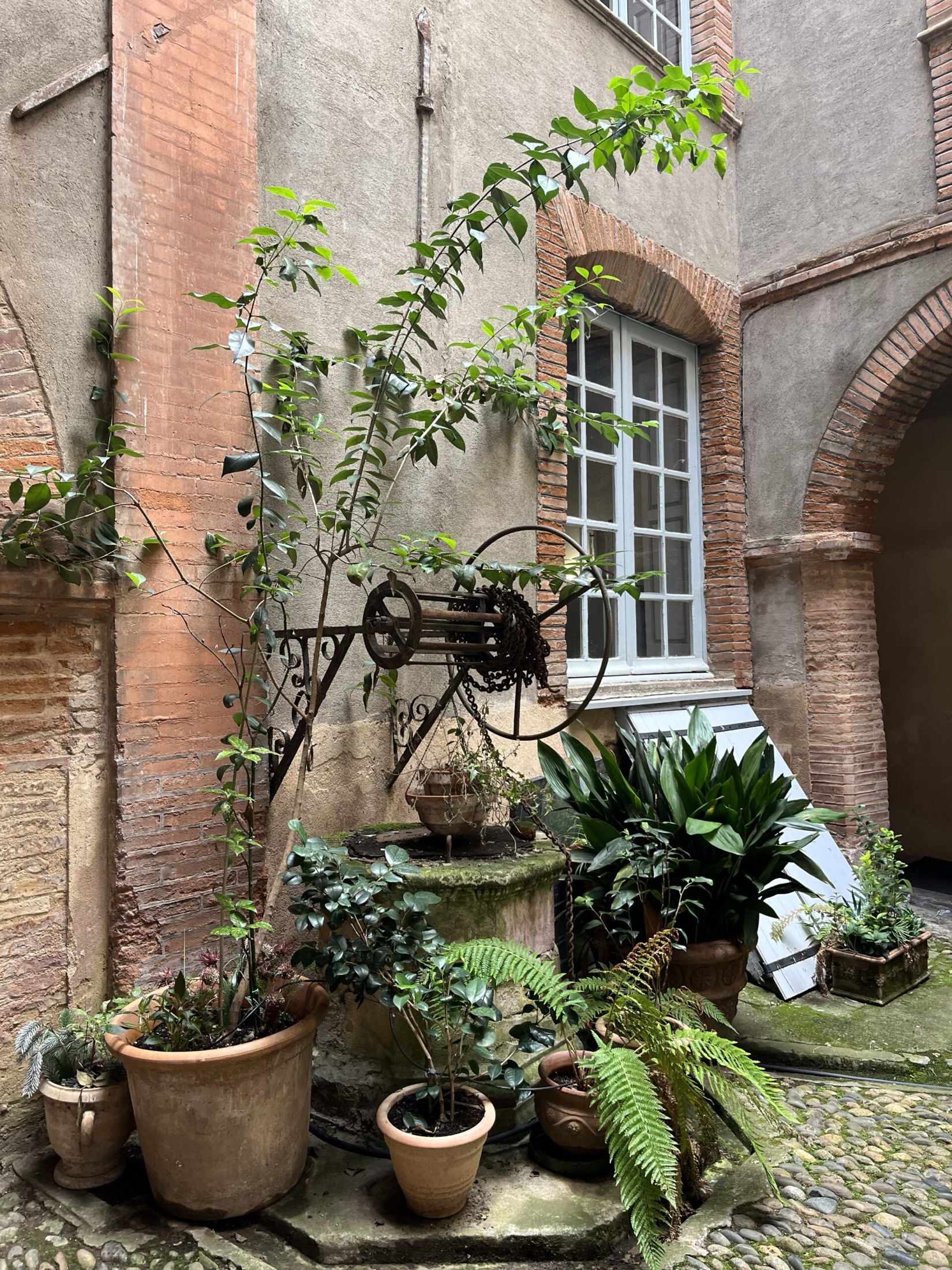 Le puits de la cour intérieure du Salon de Marvejol
